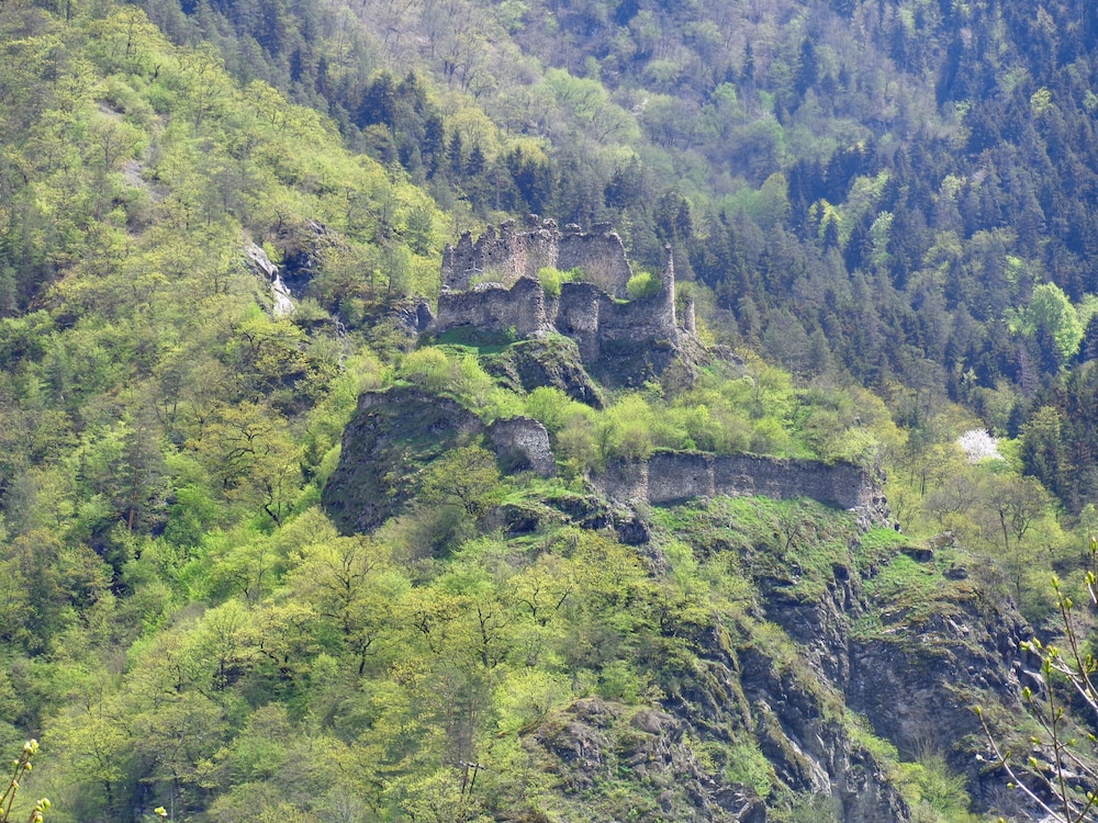 Borjomi Likani Hotel, Borjomi 69/75