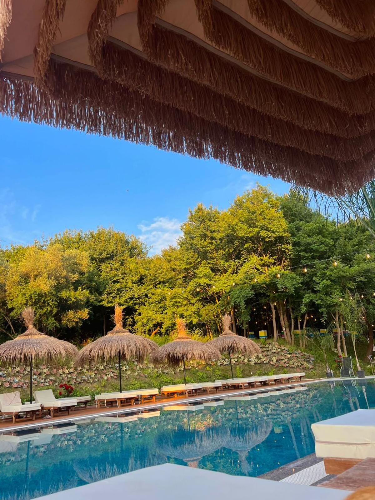 Olivia Hill Resort 32/34