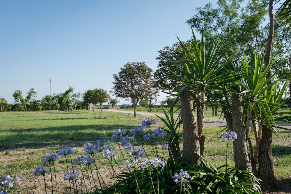 Masseria Mazzetta Salento 33/48