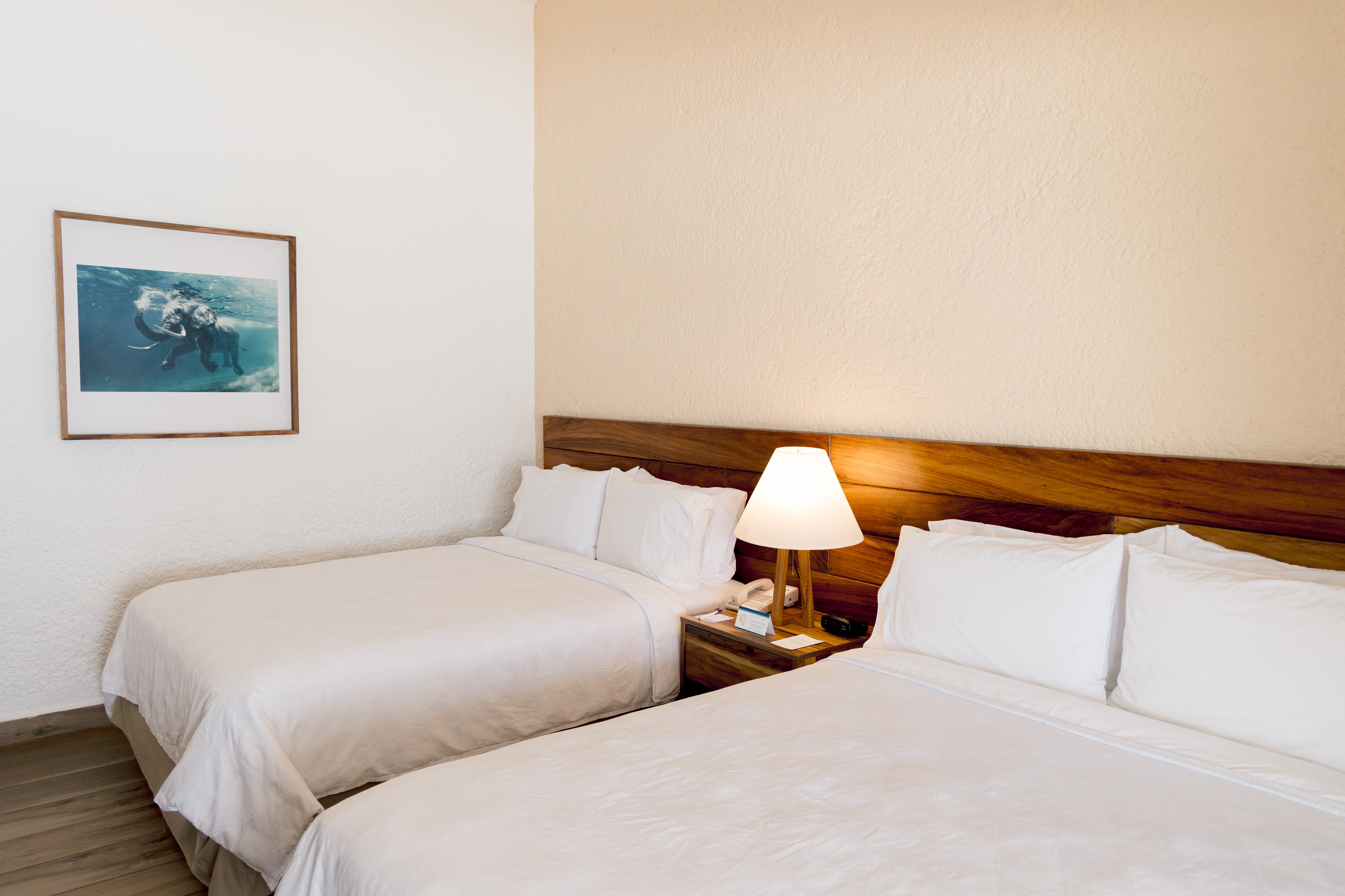Standard, 2 Double Beds