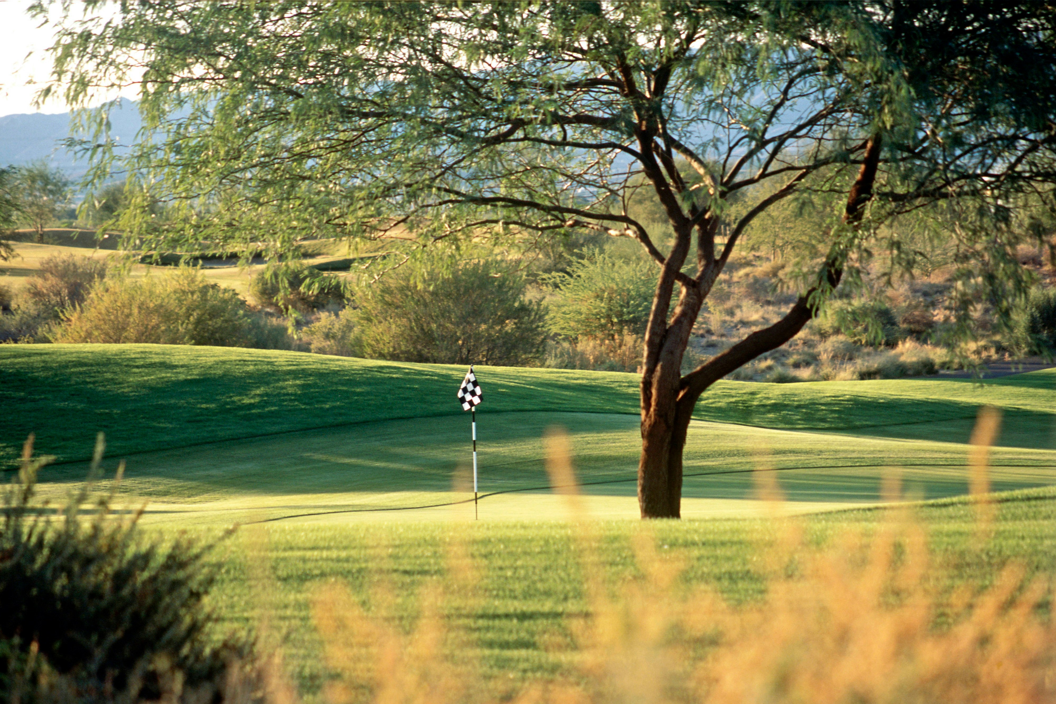 Sheraton Wild Horse Pass Resort 21/31