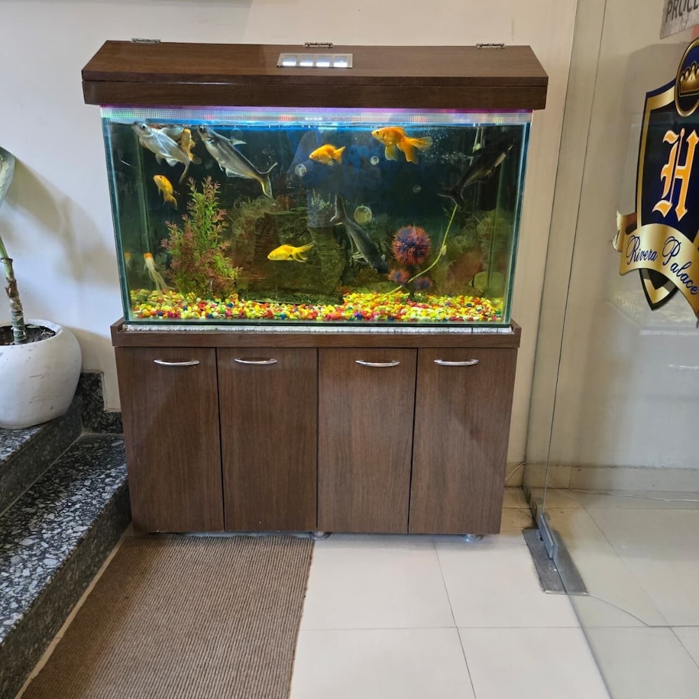 Hotel Rivera Palace 6/50