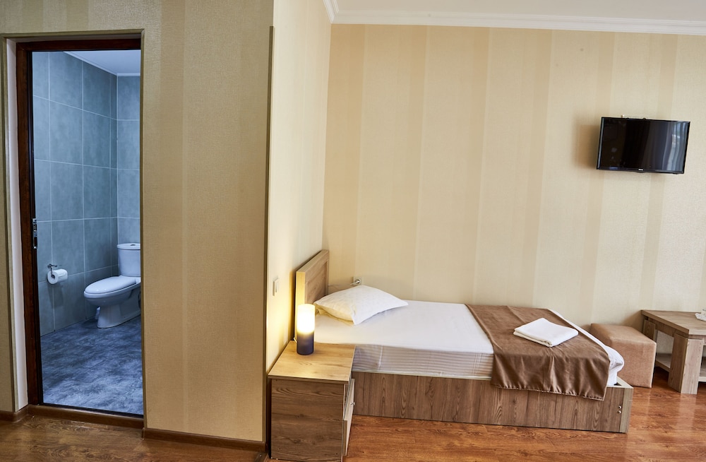 Hotel Old Borjomi 23/50