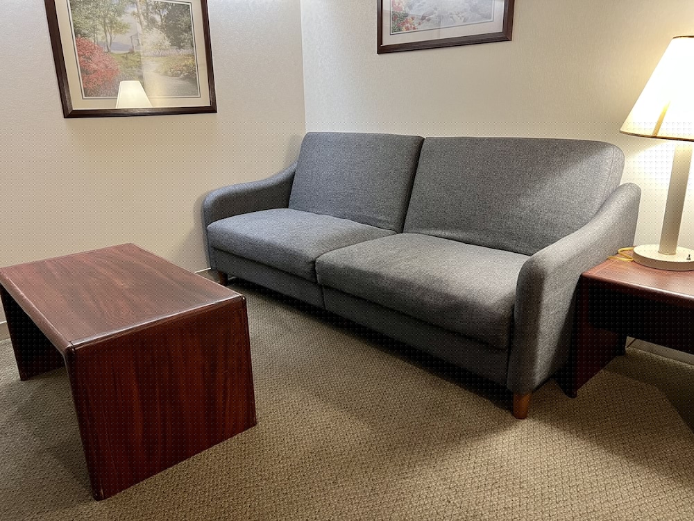 Microtel Inn & Suites by Wyndham Bloomington MSP Airport 13/16