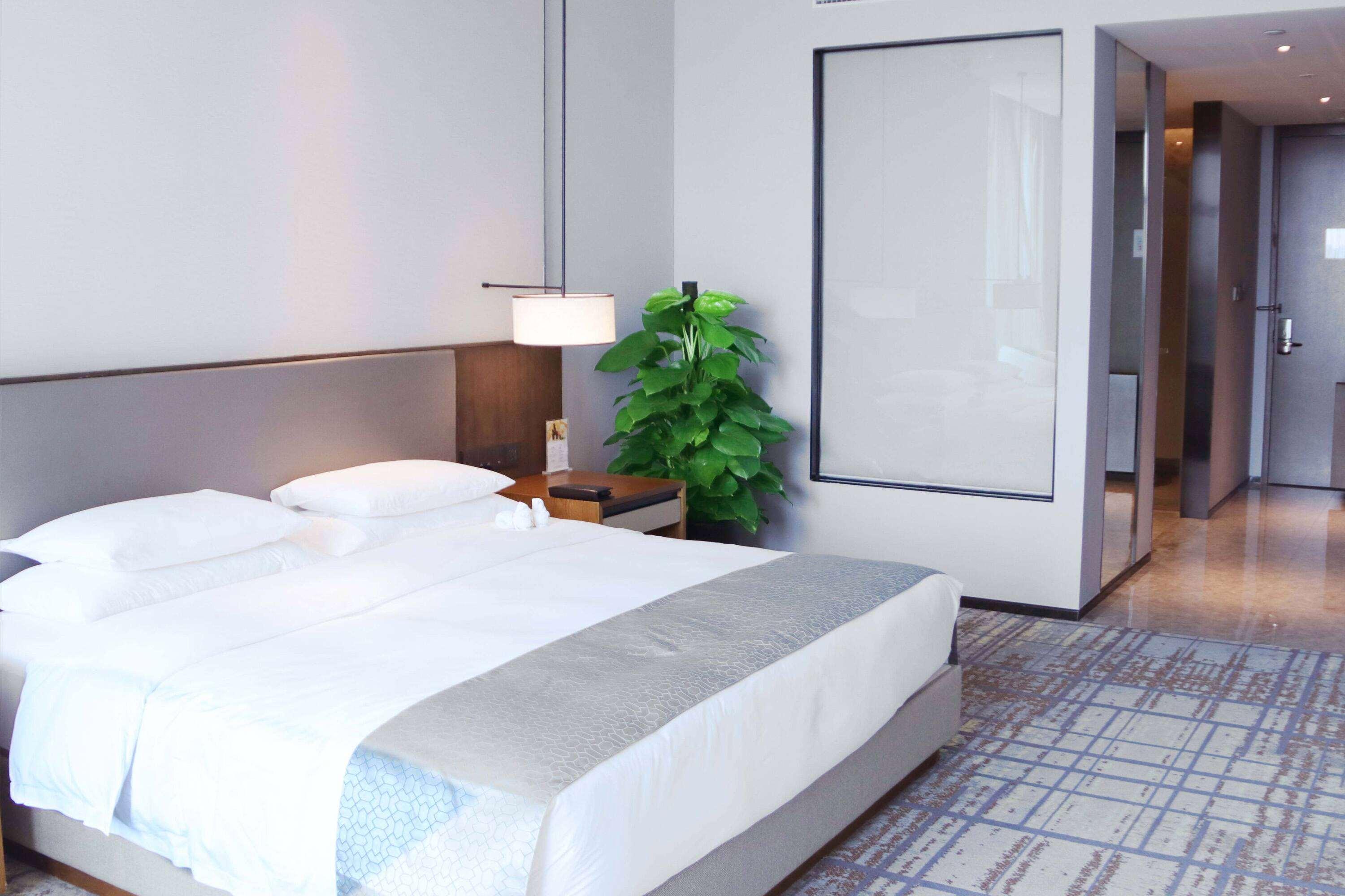 Howard Johnson by Wyndham Downtown Hotel Chongqing 10/50