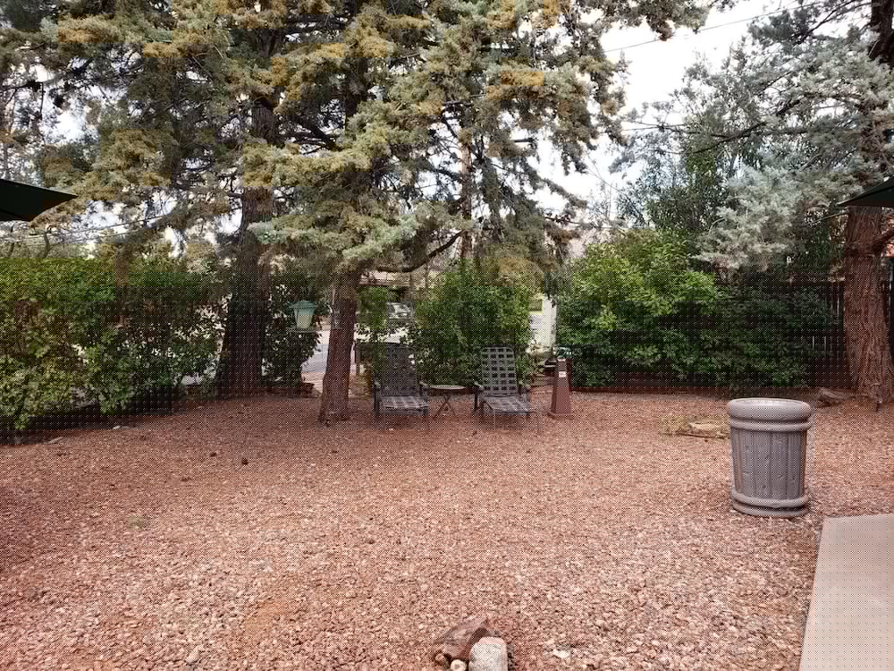 Baby Quail Inn 5/68