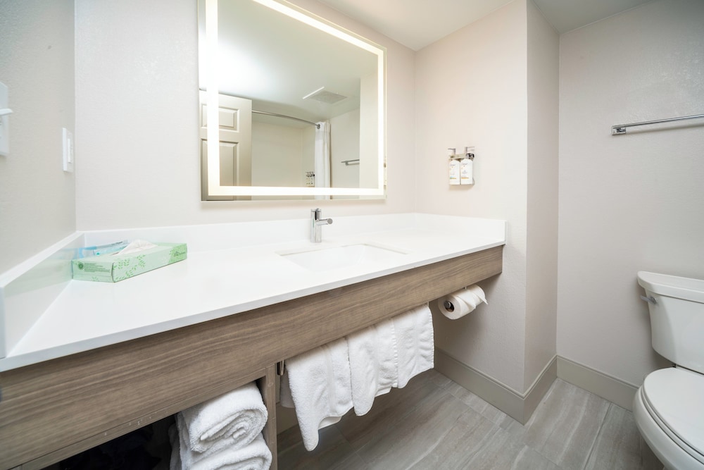 Holiday Inn Express Hotel Suites Atlanta Johns Creek 64/64