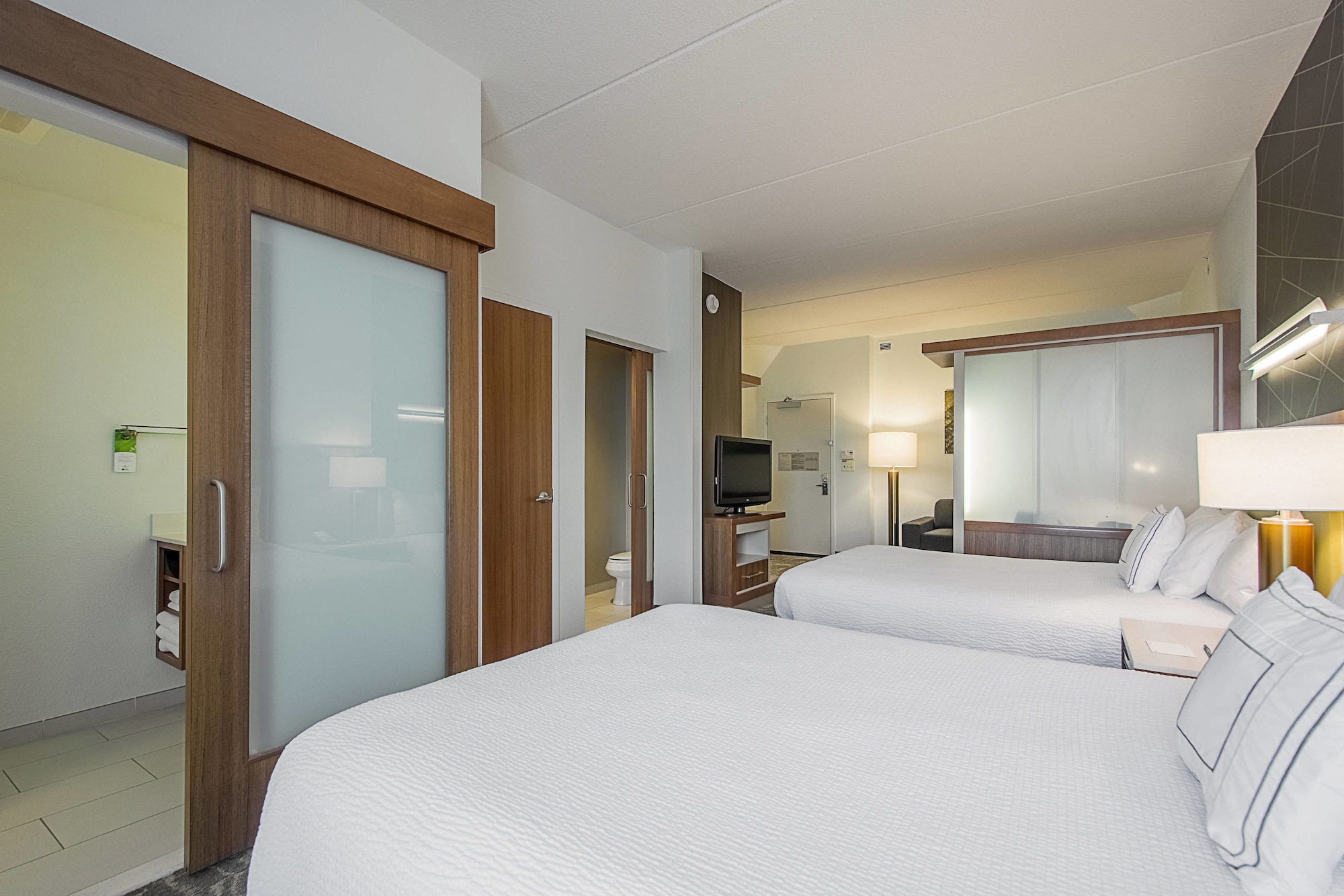 Suite, Multiple Beds