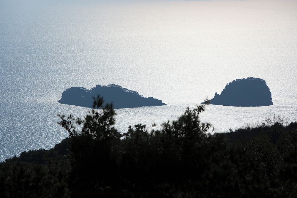 surroundings