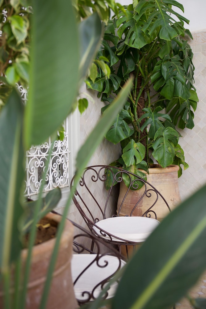 Riad Oriental Glory and Spa 36/69
