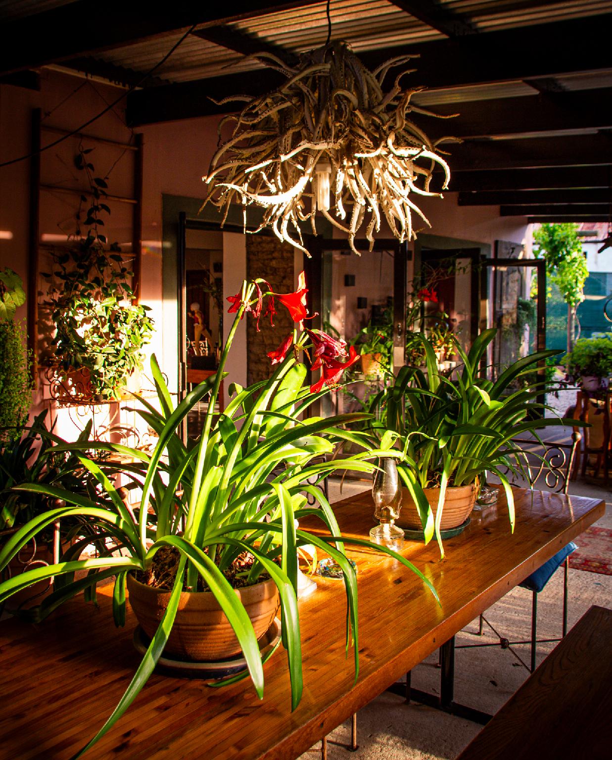 Ebonymoon Guest House & Studio 30/32