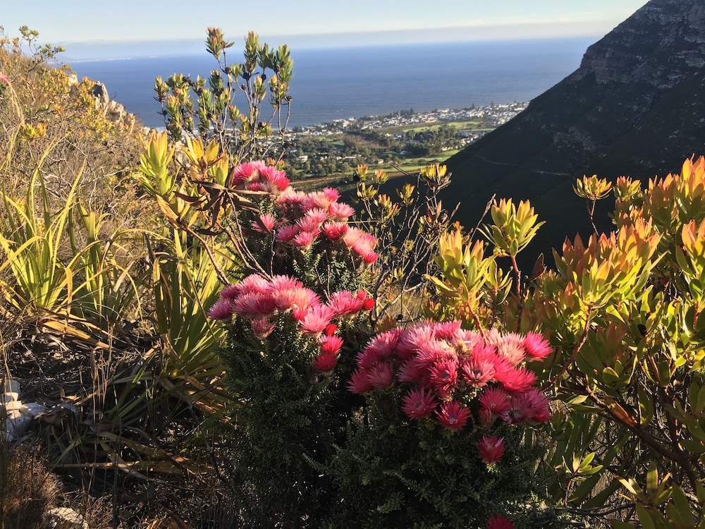 The Gables Hermanus 31/49
