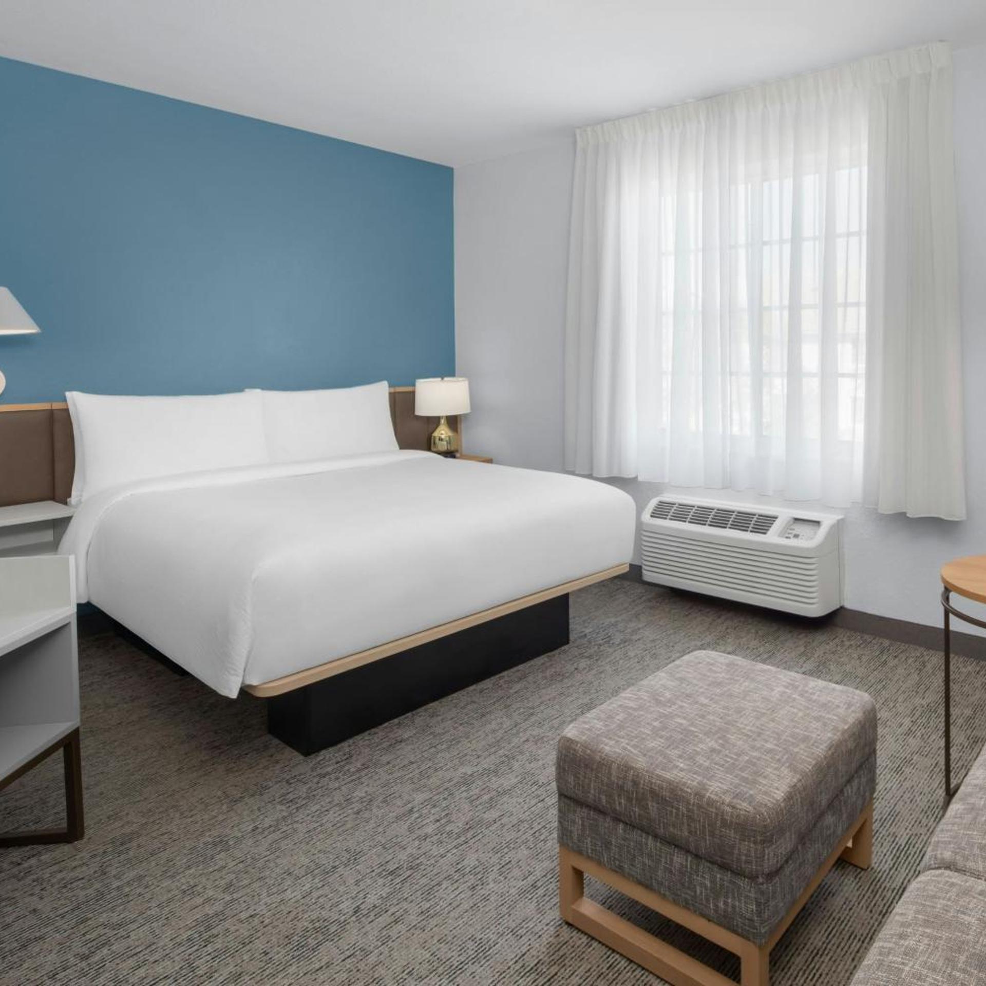 Studio, Queen Bed, Sofa, Bathtub, Accessible