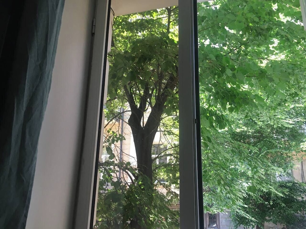 Moosica Hostel 45/50