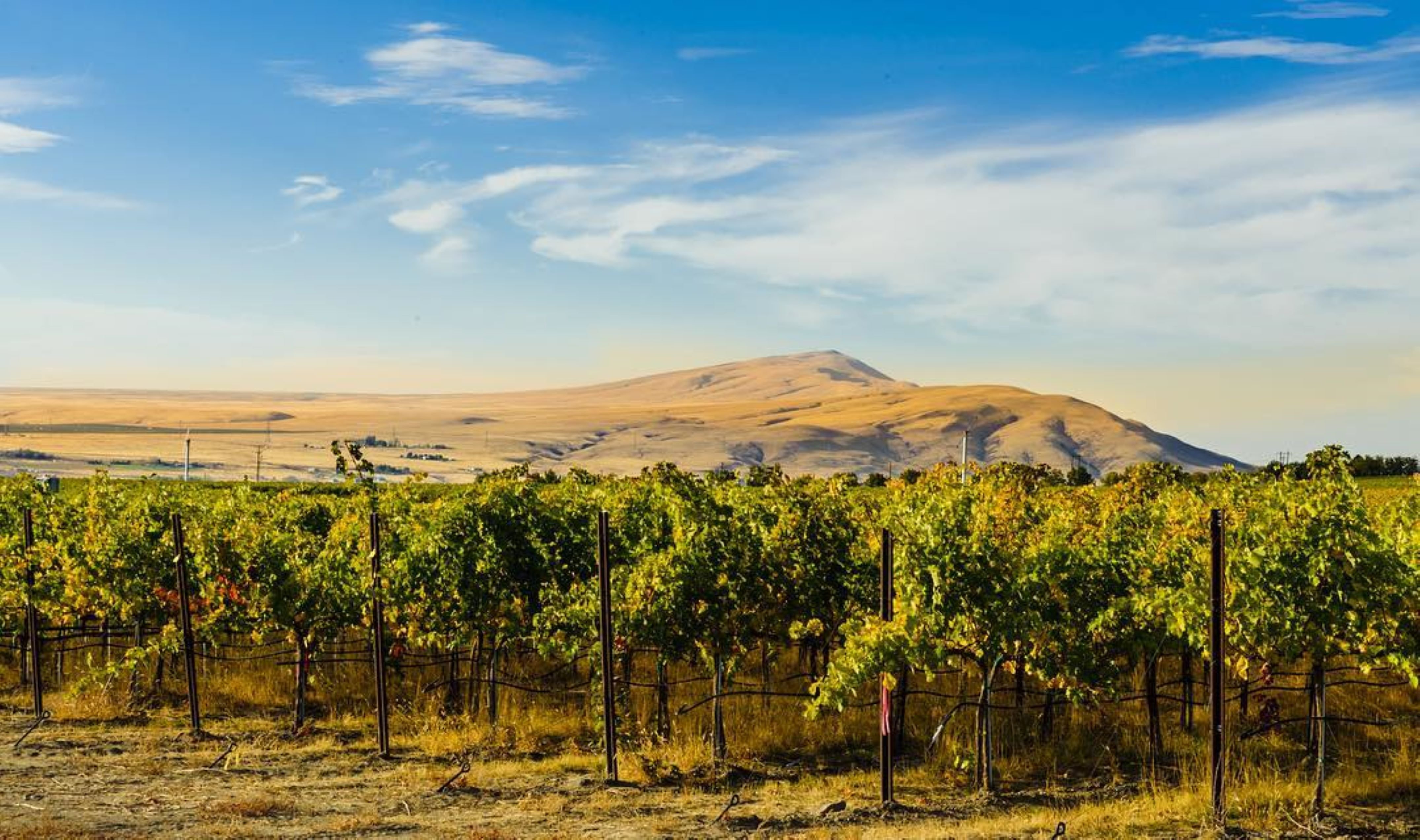 Holiday Inn Express & Suites Union Gap - Yakima Area 55/59