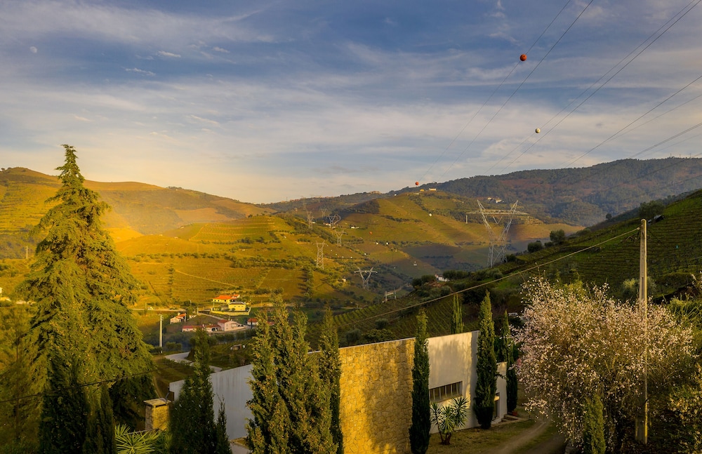 Quinta da Portela Douro 25/50