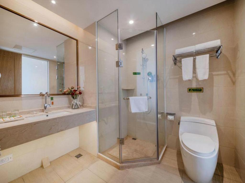 Vienna Hotel (Shenzhen Pingshan Longtian Small Town) 50/53