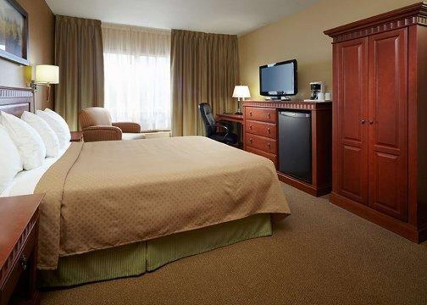 Room, Queen Bed