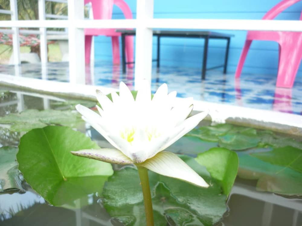 Maneemudjalin Resorts Farm Stay 3/29