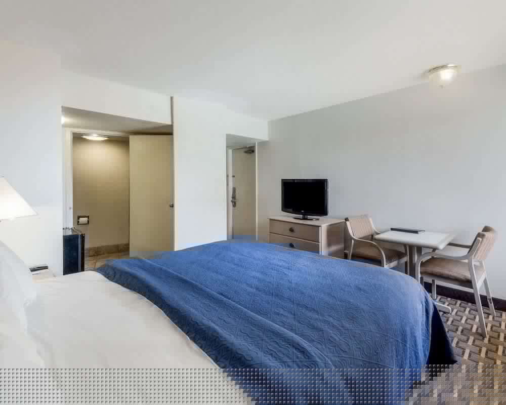 Quality Inn & Suites Corpus Christi Beachside 17/39