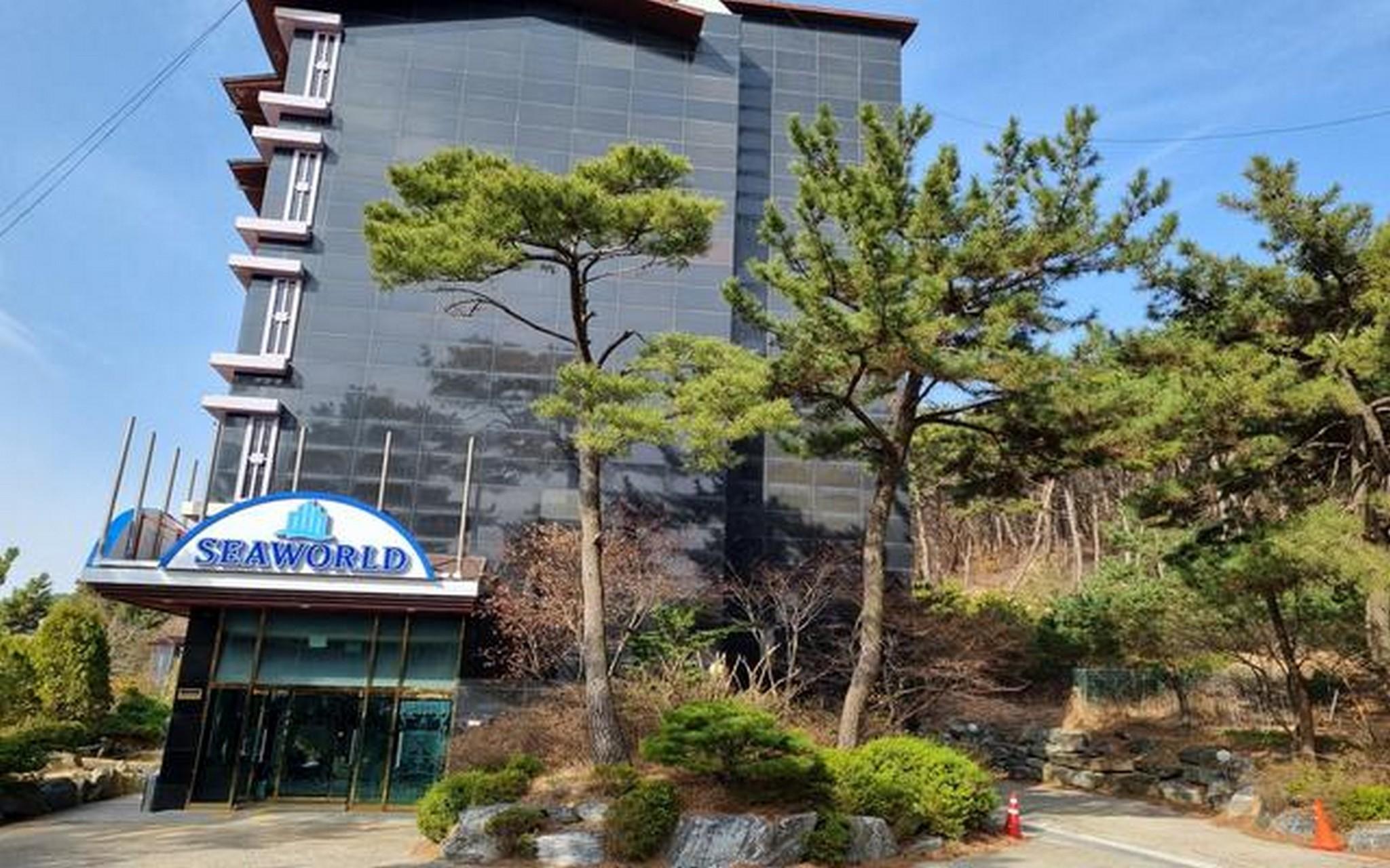 海洋世界酒店(Hotel Seaworld) 图片4