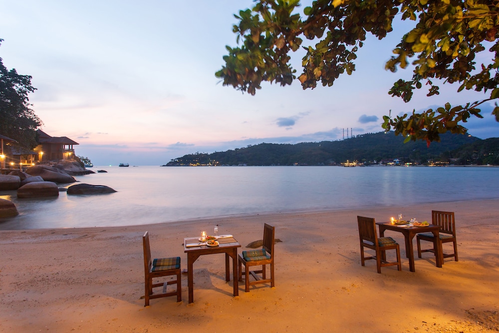 Freedom Beach Resort 43/50