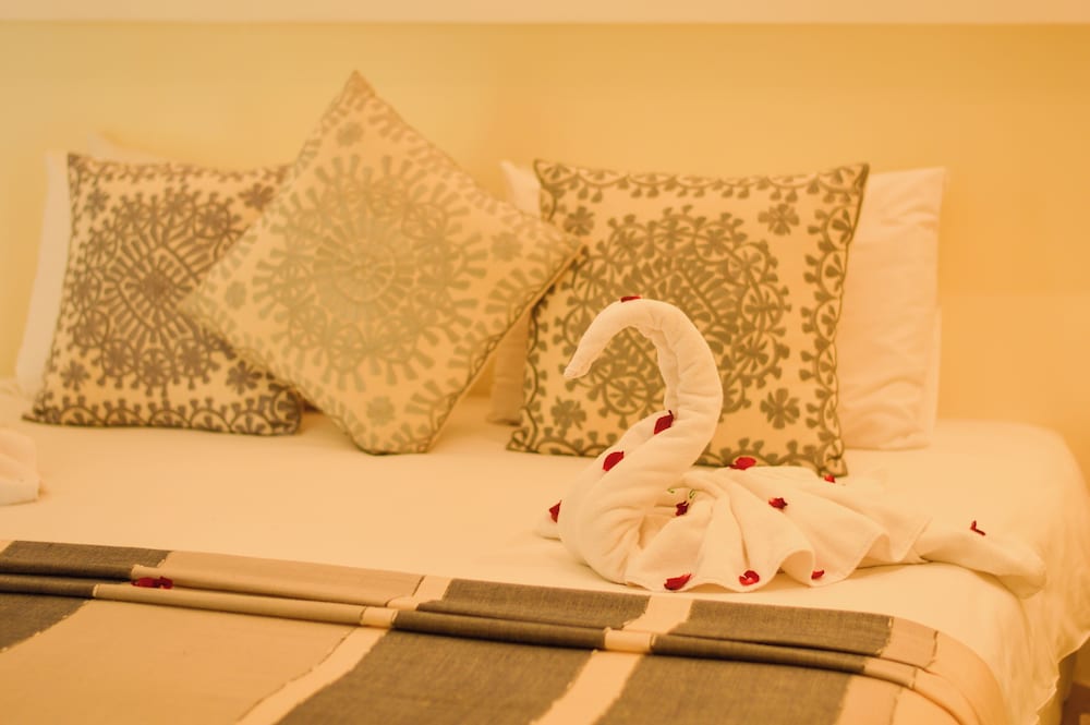 Riad Jalina 30/58
