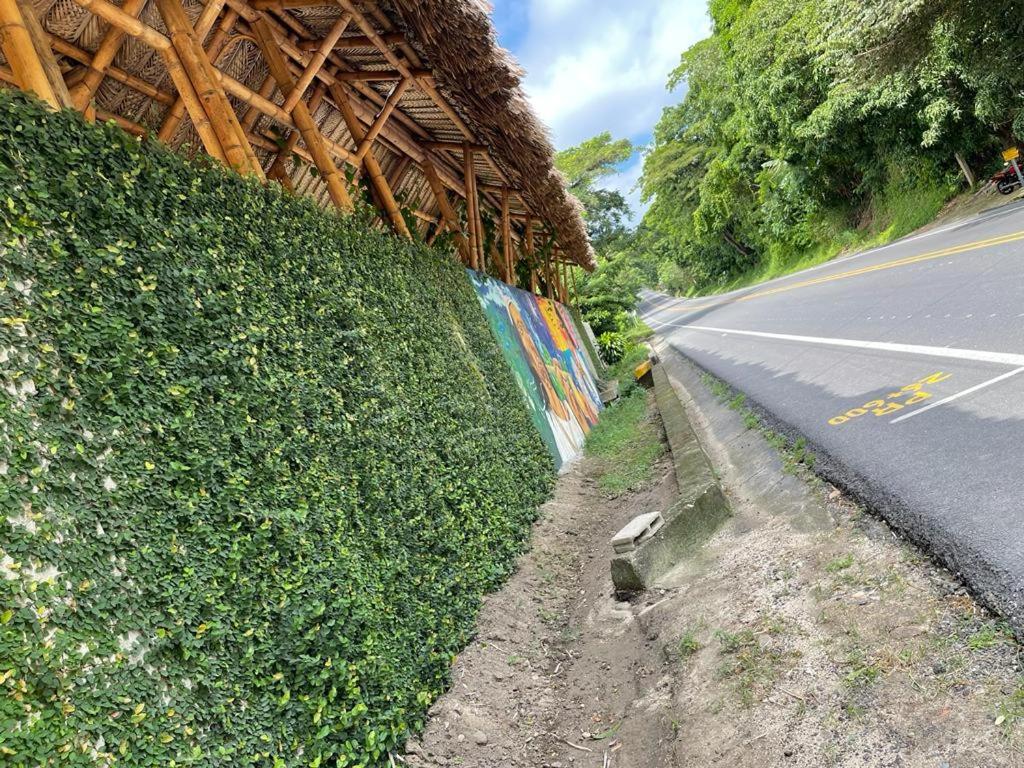 Hotel Bambu Tayrona 21/48