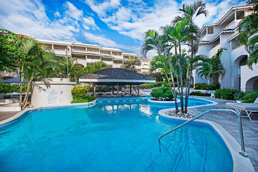 Bougainvillea Barbados 6/61