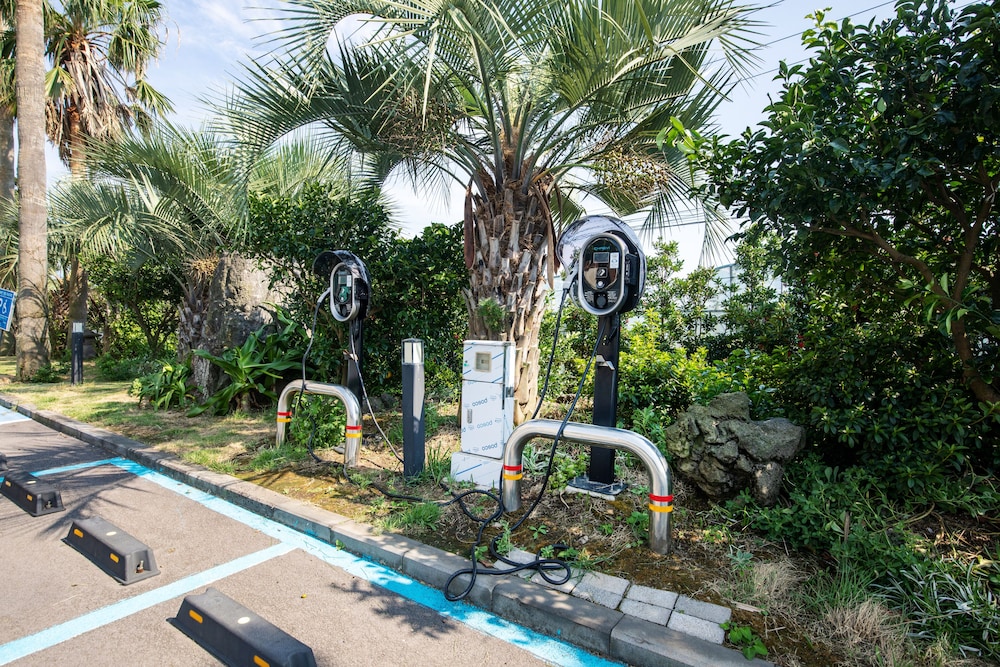 The Bay Resort 38/50