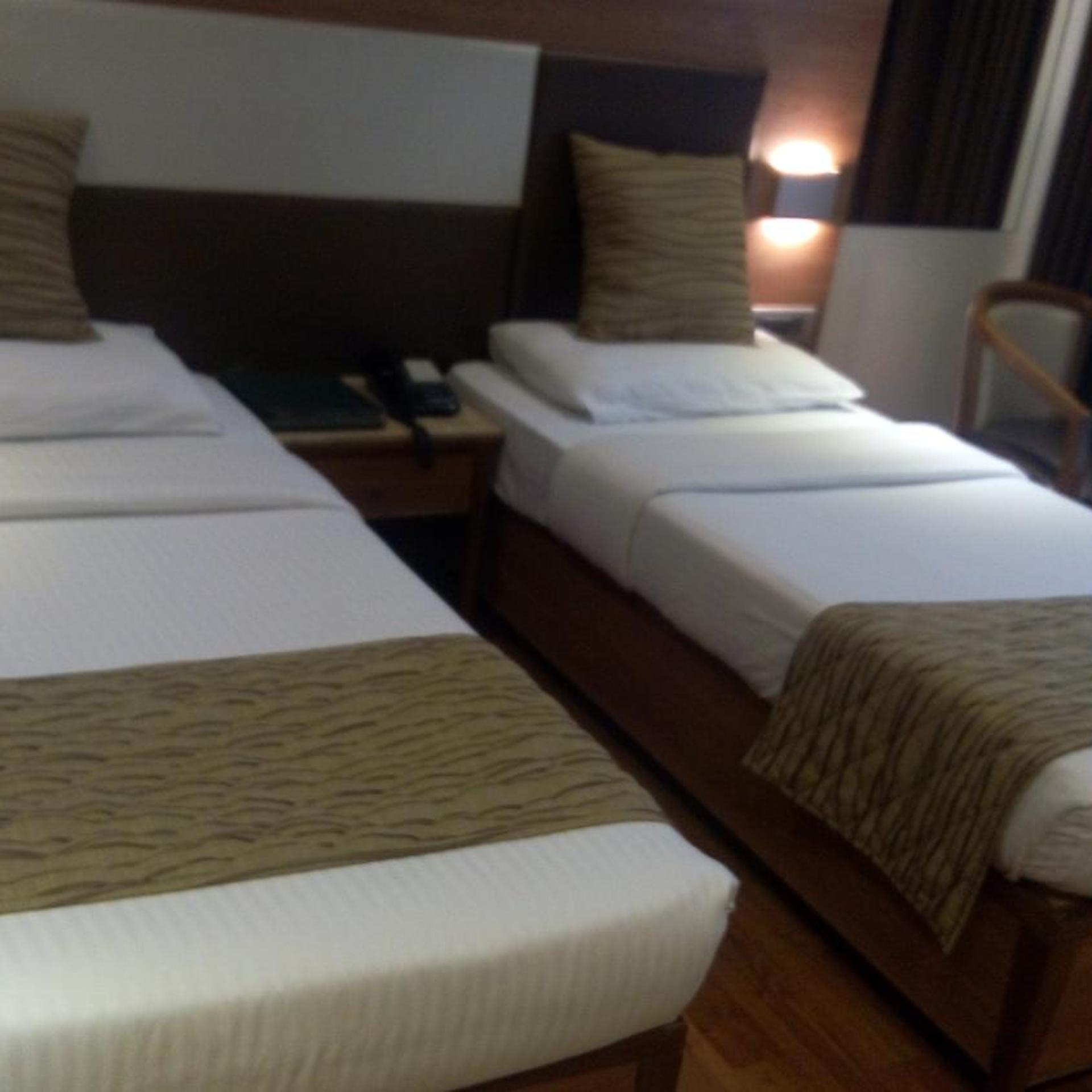 The Royal Orchid Hotel Chembur 13/37