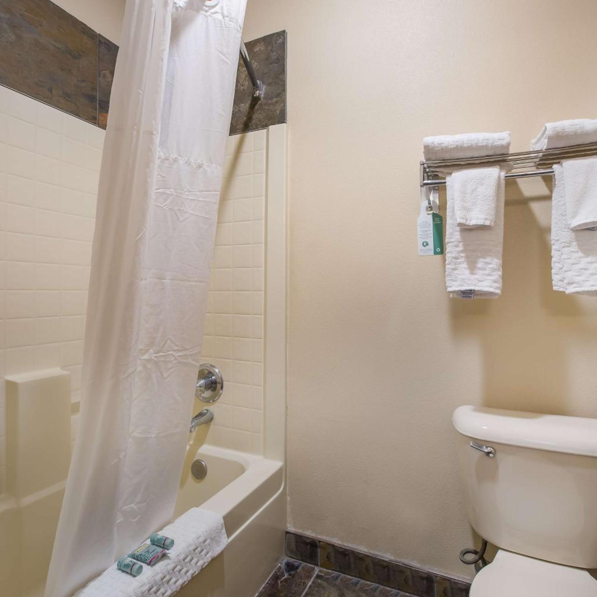 غرفة بسرير كوين بحوض استحمام لذوي الإعاقة، Best Western Northwest Lodge 10/10