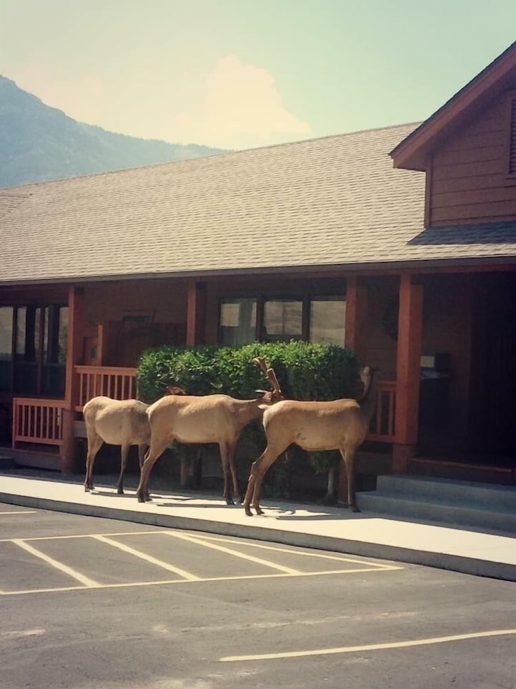 Yellowstone Village Inn and Suites 3/36