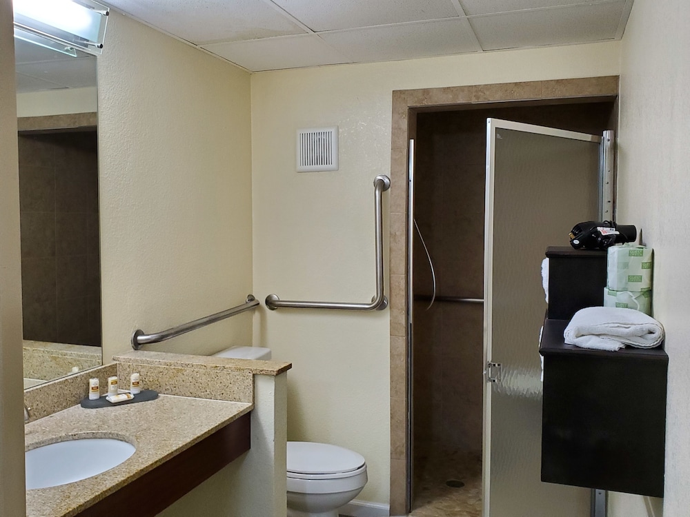 La Quinta Inn & Suites by Wyndham Memphis Airport Graceland 16/71