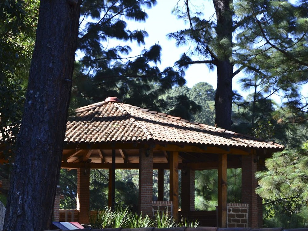 Bosque la Luna 2/36