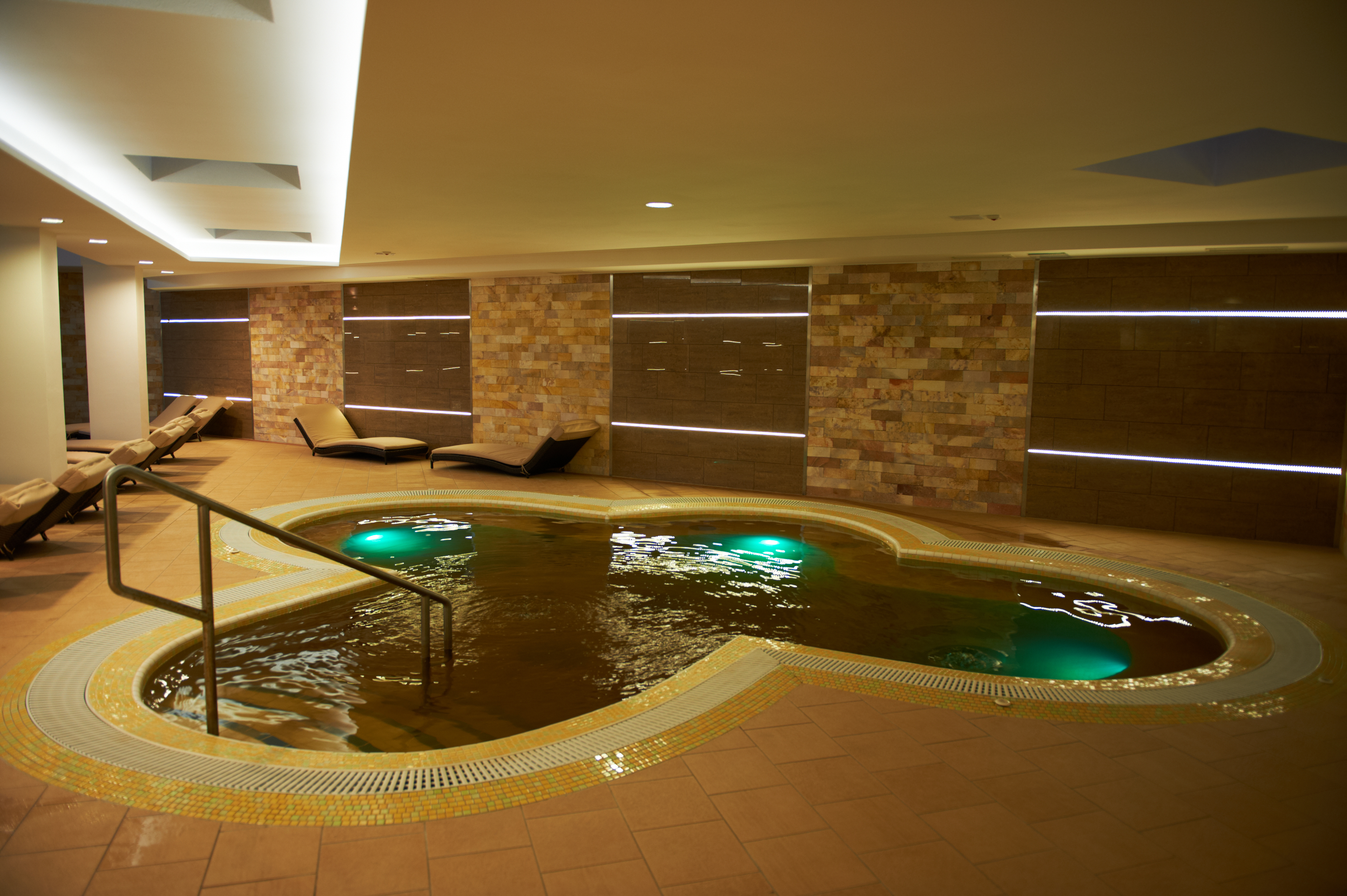Atlantis Medical Wellness & Conference 26/50