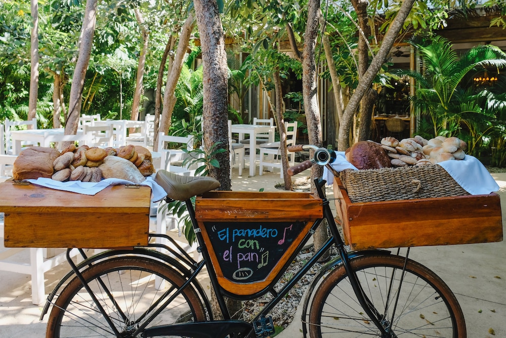 Kimpton Aluna Resort Tulum 6/48
