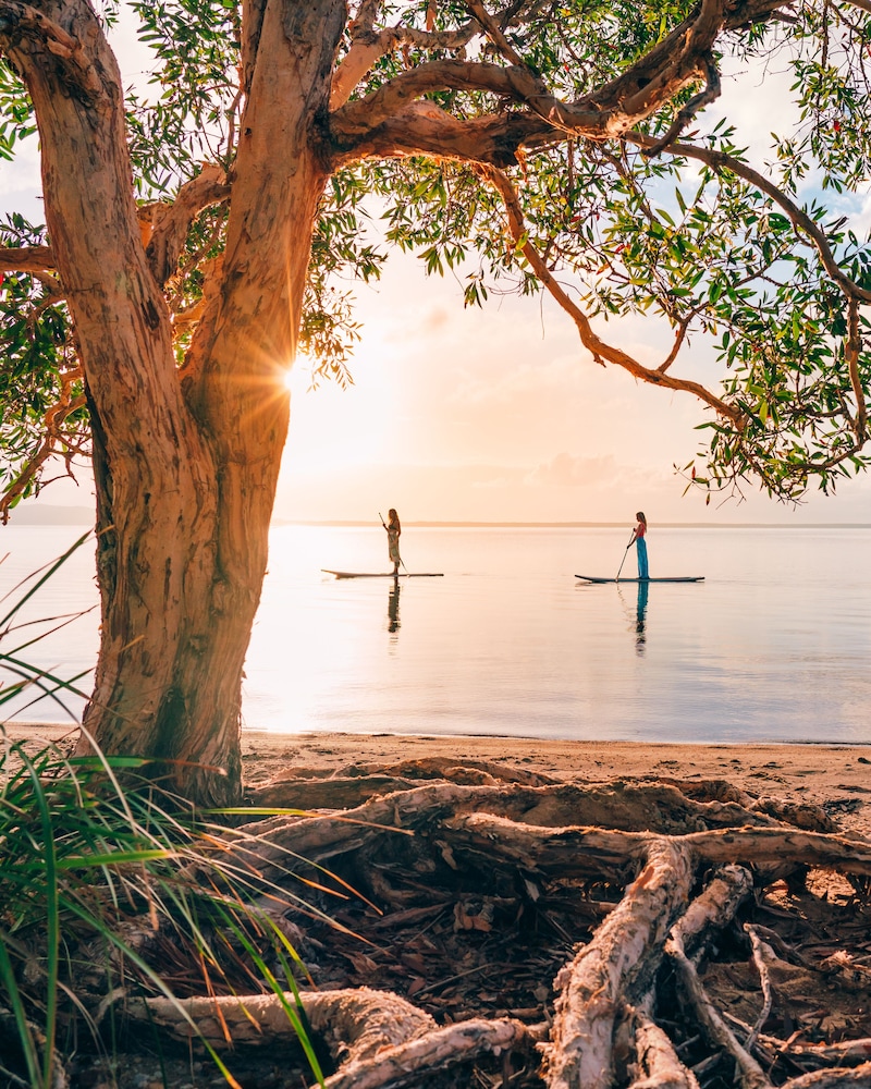 Habitat Noosa Everglades Ecocamp 45/65