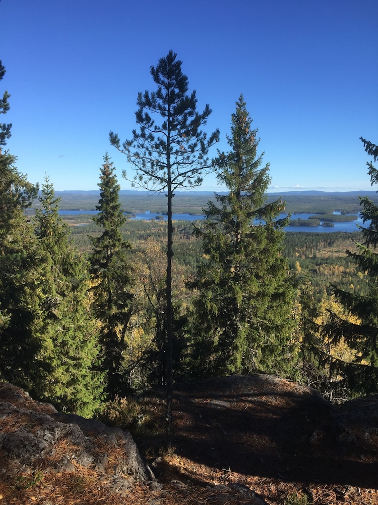 Vardshuset Lugnet 40/42