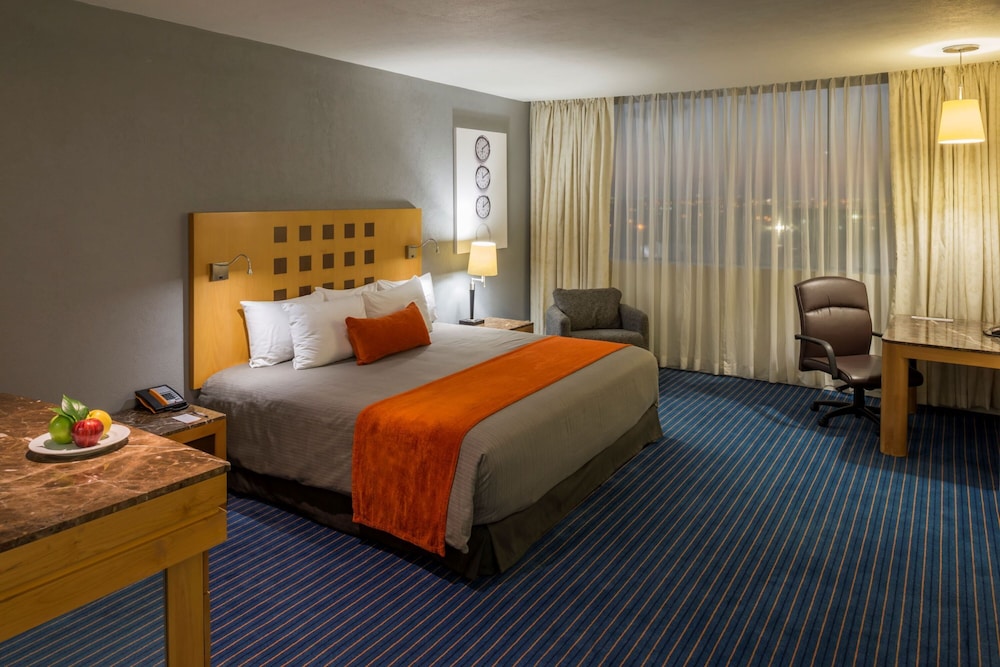 Real Inn Nuevo Laredo 19/56