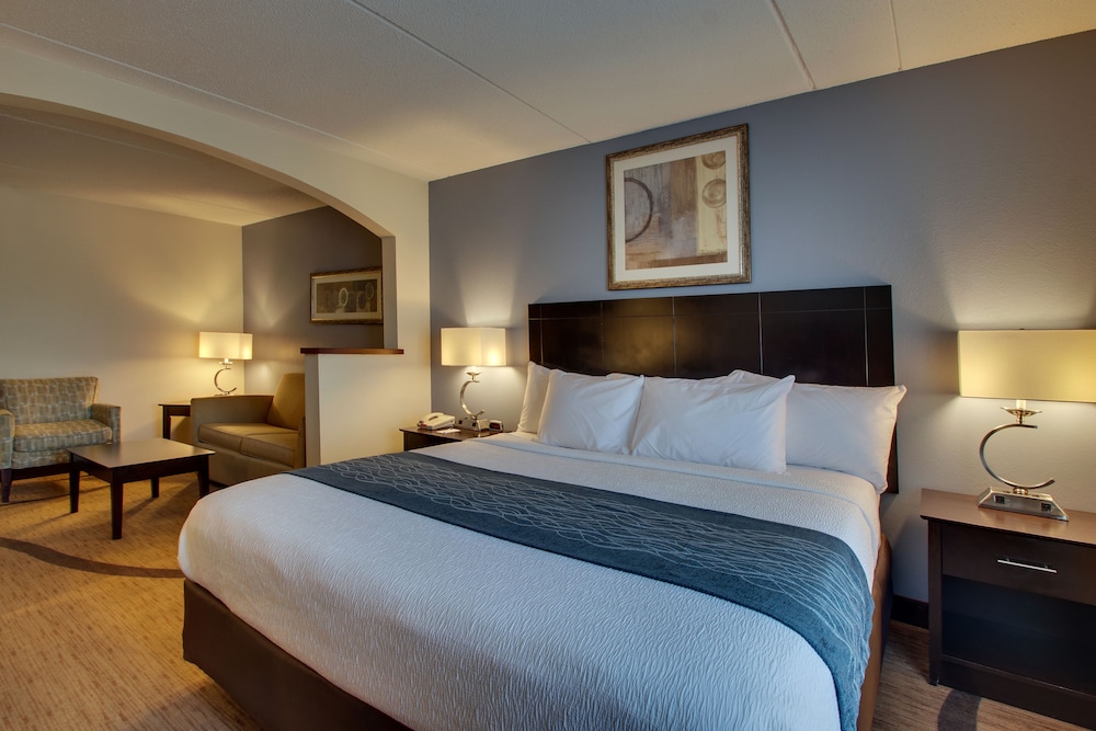Wingfield Inn Suites 21/49