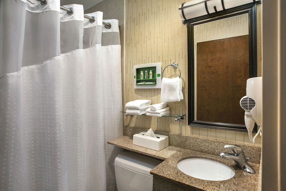 Holiday Inn Manhattan 6th Avenue Chelsea 21/41