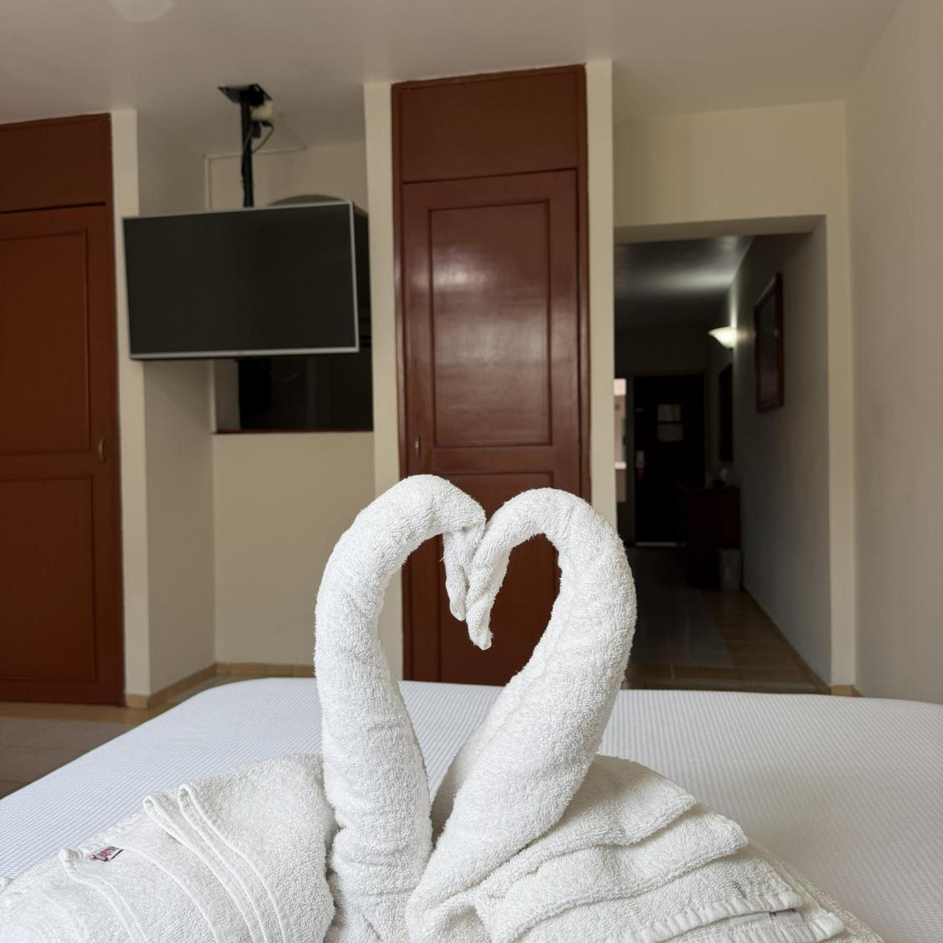 Hotel NV Guadalajara 27/52