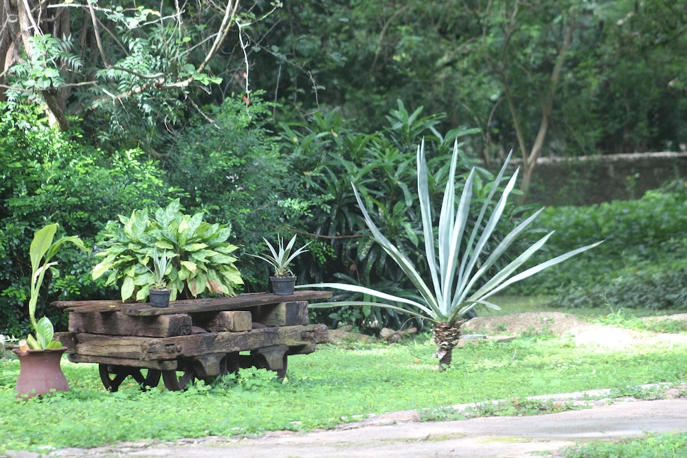 Hacienda San Jose Cholul 43/61