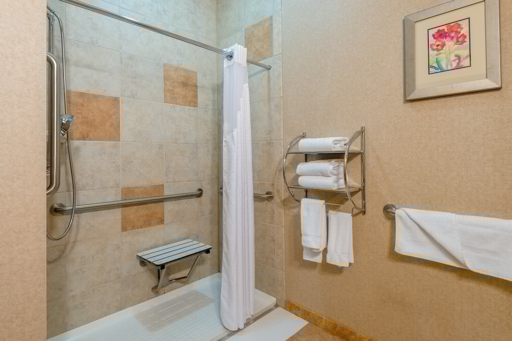 Holiday Inn Express Hotel & Suites Vernal - Dinosaurland 19/77