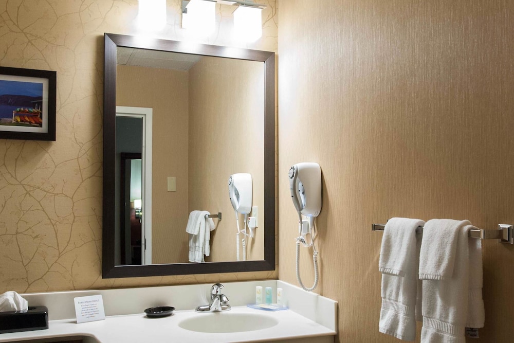 Quality Hotel & Suites Gander 23/37