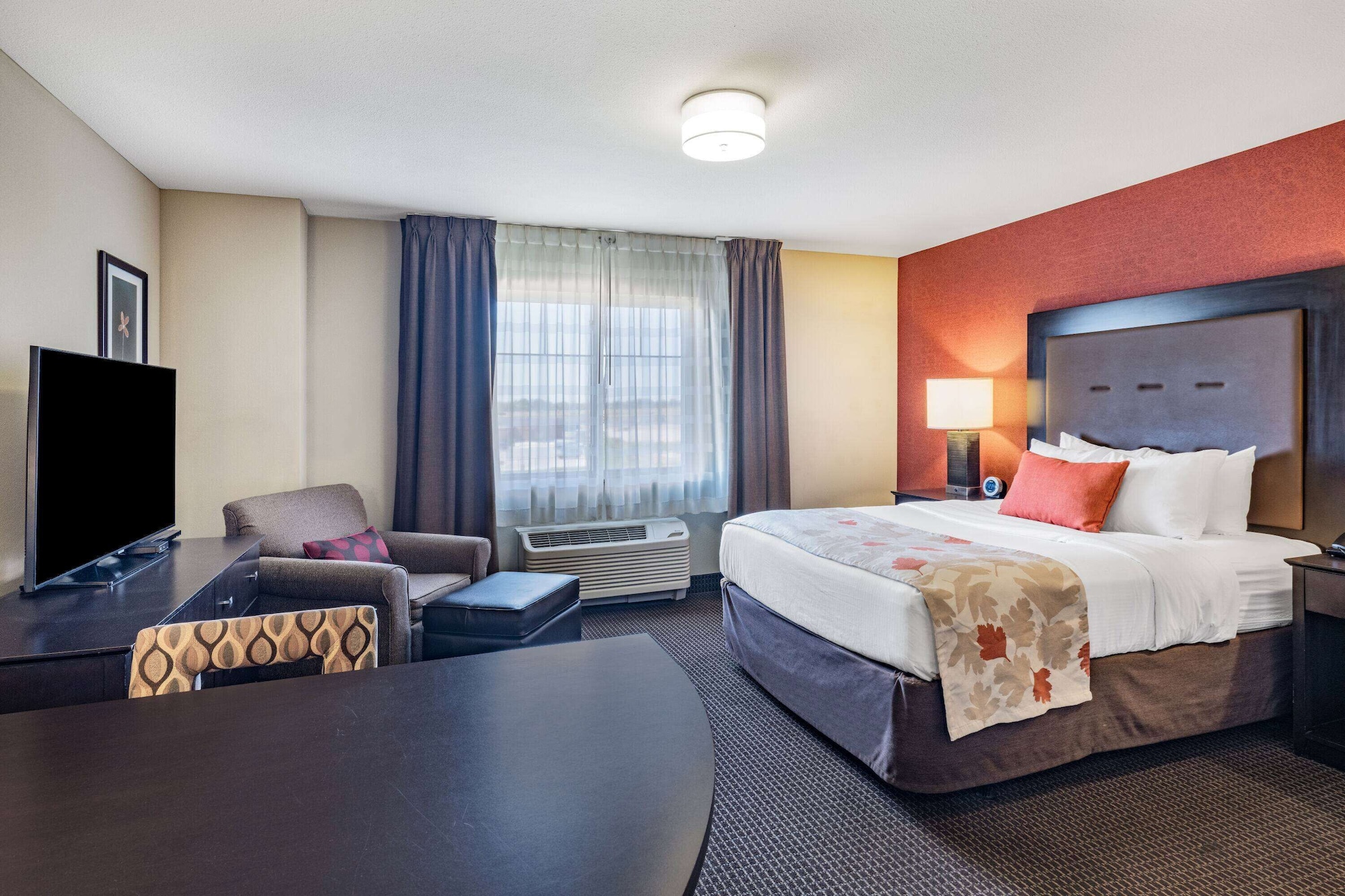 Studio, Suite, Queen Bed