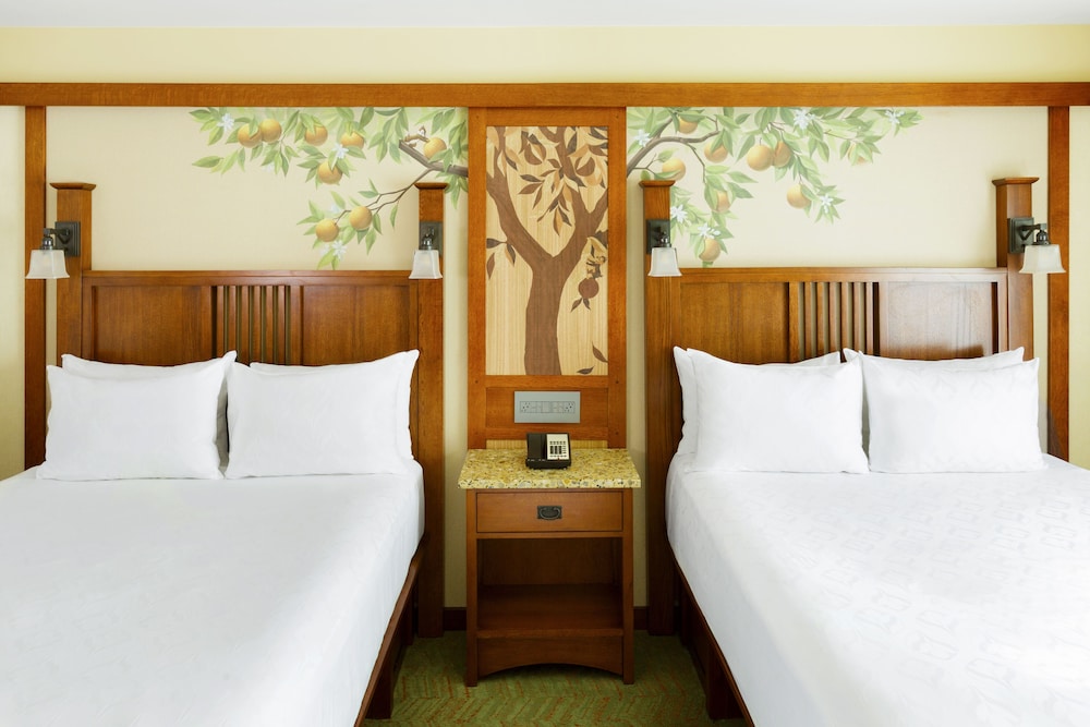 Disney Grand Californian 28/70