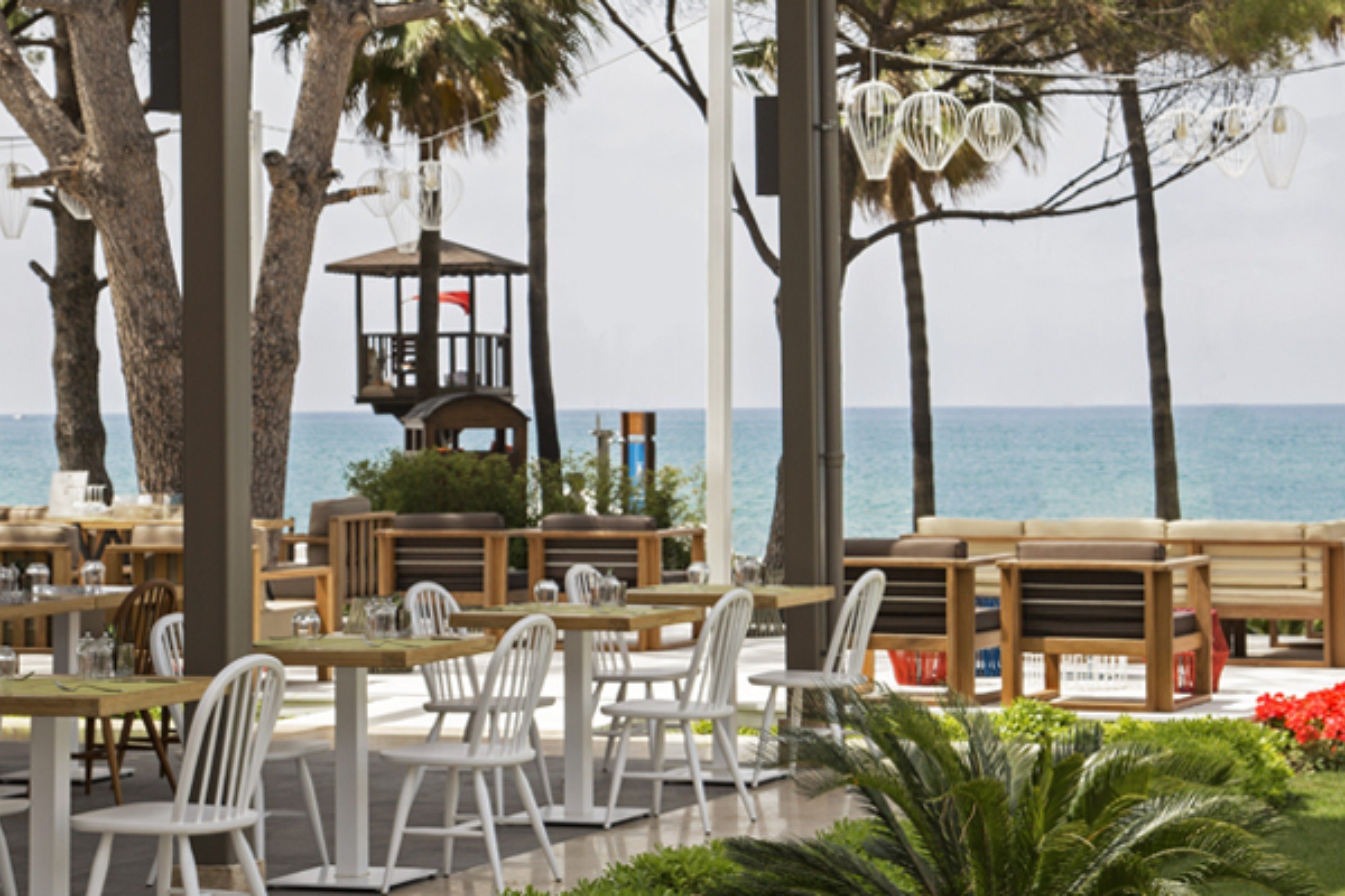 Acanthus and Cennet Barut Collection 16/20