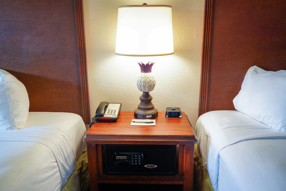 波恩特奥兰多罗森酒店(Rosen Inn At Pointe Orlando) 图片2